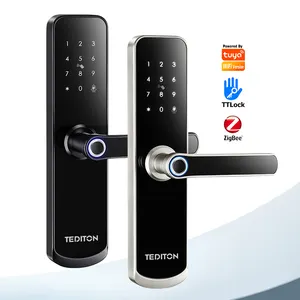 Tediton Electric Biometric Fingerprint Card Code Combination Smart Electronic Door Lock Inteligente Wifi App Fechadura Digital