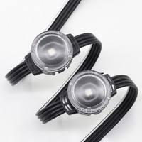 Sumber Cahaya Titik LED RGB DMX512 20mm Warna Penuh DC12V Tahan Air untuk Dekorasi Bangunan dan Taman