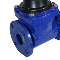 Compteur d'eau mécanique Yuxiang DN65 IP68 à brides pour traitement des eaux usées, pièces immergées en acier inoxydable SS316, 1.0/1.6MPa, 2.5M3/H