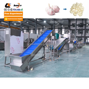 Xinlongjia khô tỏi gừng bột dây chuyền chế biến máy hành tây bột nhà máy sản xuất gừng tỏi dán máy làm - Product Image 4