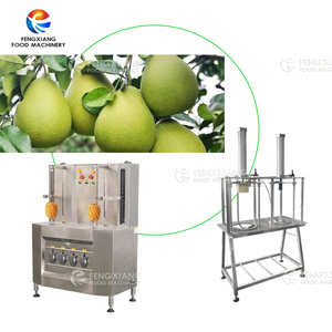Máquina peladora de sandía y piña de calabaza Industrial, peladora automática de Jaca de piña, máquina peladora de Corina - Product Image 3