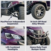 Carrito de Golf Eléctrico de 2 Personas con Batería de Litio, Color Morado, Suspensión Independiente MacPherson, Ruedas de Aleación Todoterreno, Tecnología Patentada OEM
