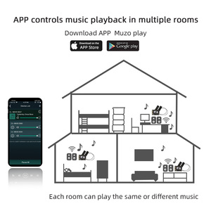 CL-100WB Pro WIFI 2.4G & สำหรับ5.0บ้านเครื่องขยายเสียงโมดูลรับสัญญาณเสียง20Hz-20Hz Wireless Power <span class=keywords><strong>Amp</strong></span> PCB - Product Image 5