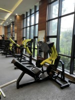 Presse à jambes commerciale en acier à 45 degrés, charge de plaques 200 kg, équipement de musculation robuste pour salle de sport, centre de fitness, club