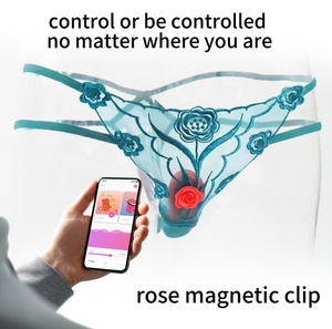 Oem Odm Vibromasseur sans fil pour adulte Jouet sexuel pour femme Vibromasseur pour mini culotte rose - Product Image 2