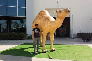 Decorazione per attività all'aperto bambola gigante dei cartoni animati cammello gonfiabile - Product Image 3