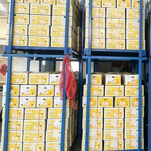Ajo recién cosechado de <span class=keywords><strong>China</strong></span>, alimento saludable y ecológico, precio al por mayor, ajo fresco al por mayor de <span class=keywords><strong>China</strong></span>, Aglio - Product Image 4