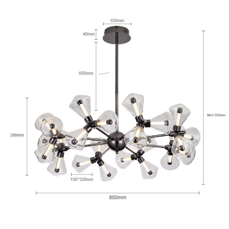 Pearl Black-Clear-24