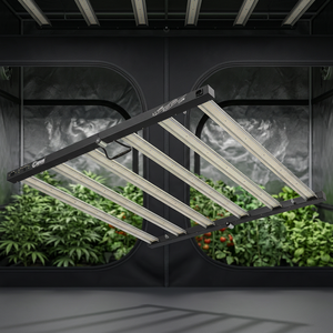 Lámpara LED de Cultivo Comercial de 720W, Espectro Completo, Cuerpo de Aluminio 5X5, IP65, Regulable, para Crecimiento de Plantas en Interiores - Product Image 5