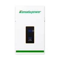 Batterie solaire LiFePO4 tout-en-un murale 100Ah 48V avec communication CAN 5kWh Garantie 5 ans