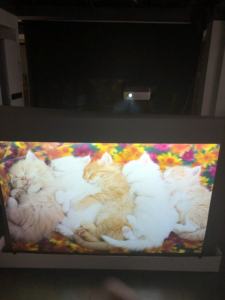 Meilleures ventes d'usine holographiques 3d <span class=keywords><strong>meilleur</strong></span> <span class=keywords><strong>projecteur</strong></span> hologramme 360 degrés Film de Projection arrière - Product Image 4