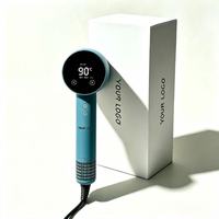 Sèche-cheveux de voyage électrique à succès, moteur ionique DC 110 000 tr/min, 1600W, haute vitesse, avec diffuseur et lisseur, pour usage domestique et hôtelier