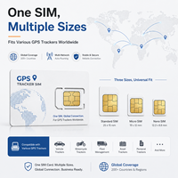 Tarjeta SIM Industrial 4G LTE 2G GSM para Rastreadores GPS, LBS, PC, Aplicaciones Remotas M2M, Paquete de Datos para Dispositivos IoT Exclusivo para Europa
