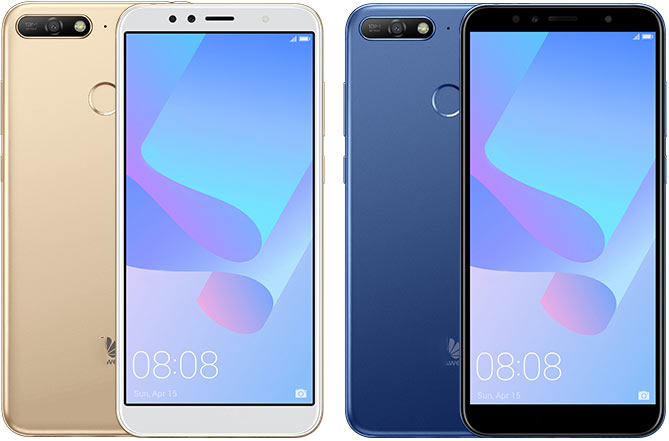 Y6 primo