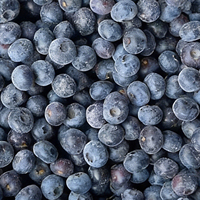 IQF Diepvries Blauwe Bessen Graad A HACCP Gecertificeerd 10kg Bulk Groothandel Hoge Kwaliteit Vers Fruit voor Voedselverwerking