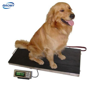 EID Rück verfolgbar keits system Vieh wiegen Schweine vieh waage Tier waagen Schaf waagen - Product Image 6