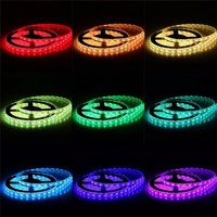 Bande lumineuse LED SMD 5050 étanche 12V avec contrôle IR pour décoration intérieure, 5m 10m