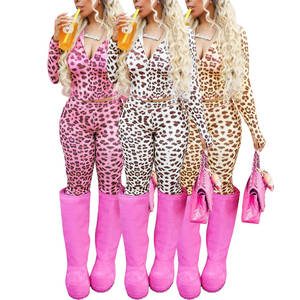 Wholesale New Leopard Print Long-Sleeved Hooded Two-Piece <b>Set</b> for Women Fashion - Product Image 1