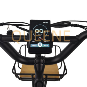 Vélo électrique cargo à longue portée OEM, 250W, double moteur, batterie au lithium, frein à disque hydraulique, vélo électrique 7 vitesses - Product Image 4