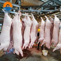 Peralatan Pemotongan Babi Industri Solusi Turnkey Lini Pemrosesan Rumah Potong Hewan Otomatis Penuh Mesin Pemotongan Babi Laris Manis Bersertifikasi CE
