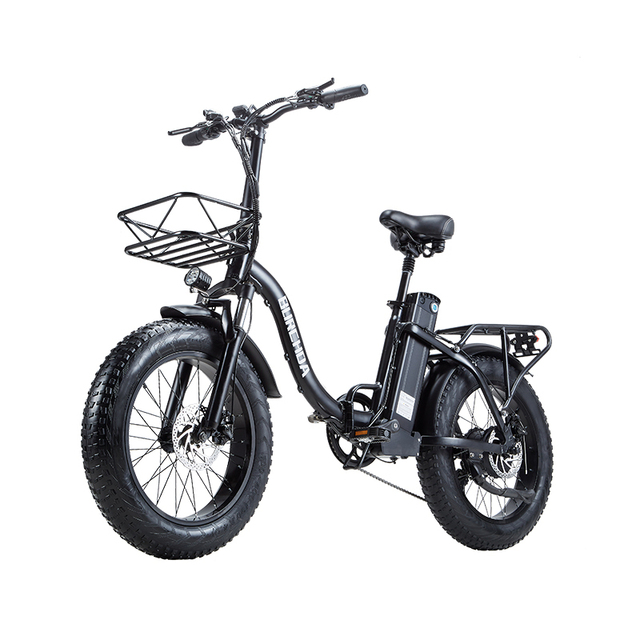 Electric Folding Bike BURCHDA R8FV Spoke Fat Tire Adult 7 Speed LCD Display 20 Inch 15Ah Pedal-Assist Factory Customized Design