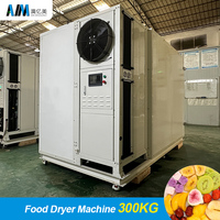 Industriële hetelucht-droogmachine voor bananen, noodles en fruit (voedsel)