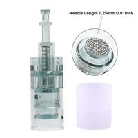 Stylo Nano en Silicone pour Soins de la Peau, Rechargeable et Portable, Outil de Beauté Facial Domestique