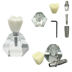 Modèle de <span class=keywords><strong>dent</strong></span> unique pour implant dentaire, modèle de prothèse dentaire en cristal, modèle de <span class=keywords><strong>couronne</strong></span>, structure de typodont pour la formation, la pratique, l'enseignement et l'affichage - Product Image 1