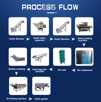 Tca Gember Poeder Verwerkingsmachine Ui Poeder Maken Machine Industriële Knoflookpoeder Maken Machine