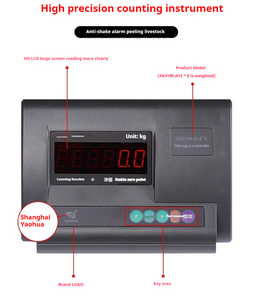 Bestseller 1 Tonne Edelstahl Tier waage Boden waage 1*1m 1000kg Digital Platform Computing <span class=keywords><strong>Scale</strong></span> OEM anpassbar - Product Image 5