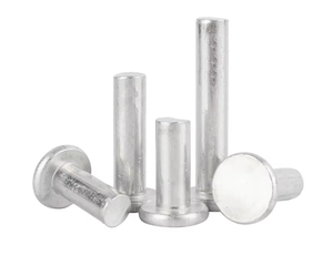 Rivets pleins en acier inoxydable 304 316 plaqué zinc blanc jaune, rivets pleins en acier au carbone 1/4 x 1/2, rivets pleins <span class=keywords><strong>à</strong></span> tête plate M10 en acier inoxydable - Product Image 1