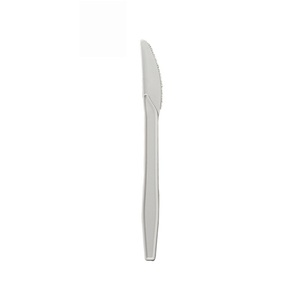 Cucchiaio monouso biodegradabile in CPLA da 17 cm, posate compostabili per uso esterno - Product Image 4