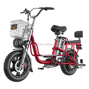 Dsy Monster Mini 16Inch Een Wiel Aluminium Elektrische Fiets 48V 60V Lithium Batterij 20a 30a Levering Service Bromfiets Elektrische Fiets