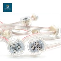 Module de pixels LED SMD5050 RVBW 12V 20mm étanche IP68, points lumineux adressables avec contrôle DMX512, garantie 5 ans, haute performance