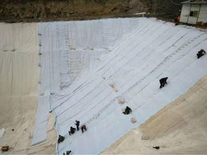 Prix <span class=keywords><strong>le</strong></span> <span class=keywords><strong>moins</strong></span> <span class=keywords><strong>cher</strong></span> d'usine 100g-800g Filament polyester non tissé géotextile tissu pour route - Product Image 2