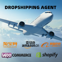 Sites de Shopping Internationaux Maroc Site Chine Achat Magasin en Gros Chinois Agent d'Expédition Transitaire Express Porte-à-Porte Aérien