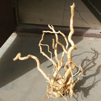 Décoration d'aquarium en bois : sélection de racines de rhododendron pour aménagement aquatique
