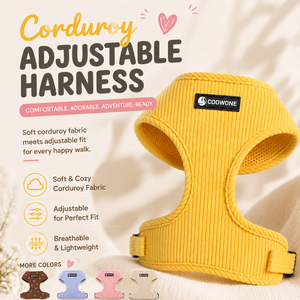 Conjunto de Arnés de Lujo para Perro con Logotipo Personalizado, Collares y Correa para Perro, Arnés Bordado Antitirones - Product Image 1