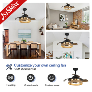 1stshine Ventilateur de plafond invisible 36 pouces Petit abat-jour en cage noir Ventilateur de plafond avec lumière et télécommande - Product Image 4