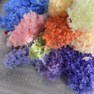 Flores de Hortensia Cónicas Secas Paniculata, Naturales, Preservadas, para Decoración del Hogar, Eventos, Día de la Madre, Navidad, Año Nuevo - Product Image 4