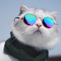 Haustier Brille Katze Bekleidung & Zubehör Retro Coole Hund Sonnenbrille Foto Requisiten Lustiges Zubehör Massiv plastik Winter Großhandel