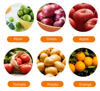 Hoog-efficiënte sorteermachine voor kiwi's, aardappelen, courgettes, tomaten, komkommers, uien, noten, fruit en groenten.