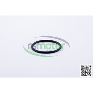 Pieza del motor de la maquinaria de la junta tórica de Jenbacher - Product Image 4