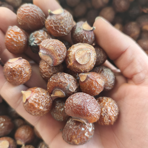 Wu Huan Zi, Hierbas de Alta Calidad, Productos Alimenticios Saludables, Eliminan la Mucosidad, Alivian la Indigestión, Eliminan Parásitos - Product Image 3
