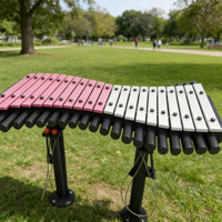 Dual-Player Sensory Training Interactive Outdoor Metal Percussion Instrument Kids Early Education Park School Home