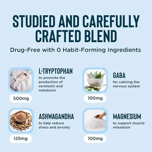Cápsulas de Suplemento para Dormir para Adultos, Veganas, de Marca Privada, con Melena de León, L-Teanina, Glicinato de Magnesio, Piperina, Ashwagandha, para la Memoria - Product Image 3