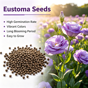 Semillas de Lisianthus de Alto Rendimiento, Semillas de <span class=keywords><strong>Eustoma</strong></span> <span class=keywords><strong>Grandiflorum</strong></span>, Semillas de Flores Ornamentales en Maceta para Decoración del Hogar, Venta al por Mayor - Product Image 1