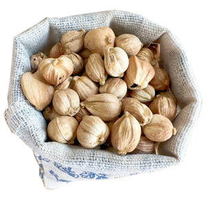 Vente en gros d'herbes simples d'épices chinoises au détail de couleur originale Cardamome blanche de qualité supérieure pour cuisinier - Product Image 1