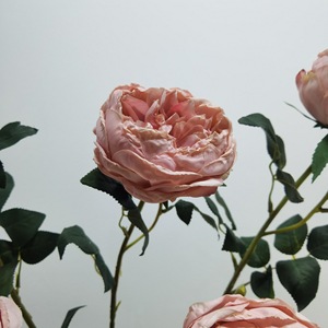 Rosas Artificiales, Flores de <span class=keywords><strong>Rosa</strong></span> Roja Artificiales al por Mayor, Rosas de Terciopelo, Flores Artificiales al por Mayor para Decoración - Product Image 4