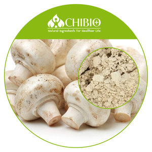 Innovative Solutions for Your fungal source chitosan Needs in ...
